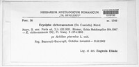 Image Associated With the Occurence
